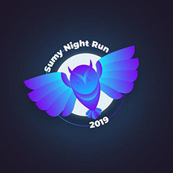 2nd Sumy Night Run 2019